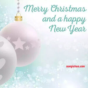 Merry Christmas and happy new year pic